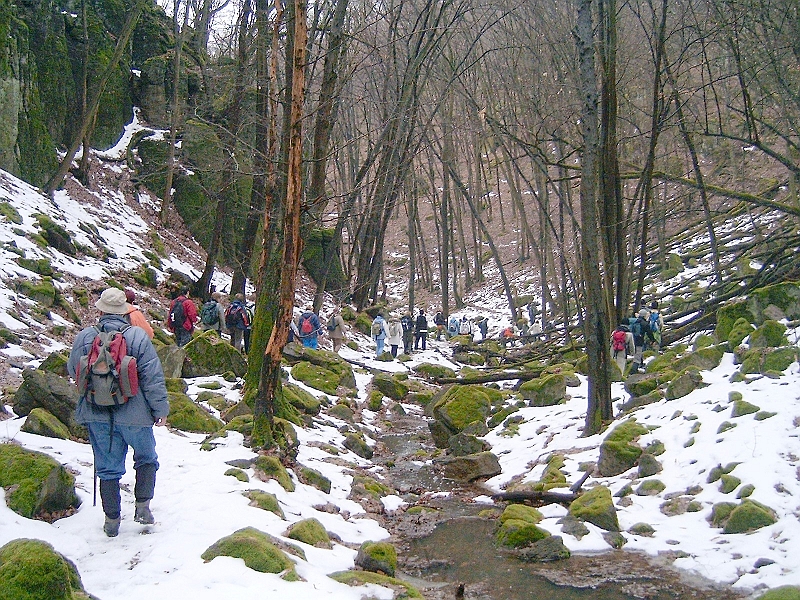 20100220 055.jpg